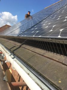 pigeon proofing solar panels